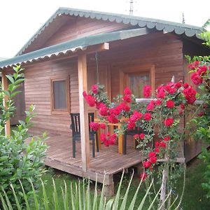Bungalov