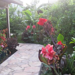Aile Bungalov